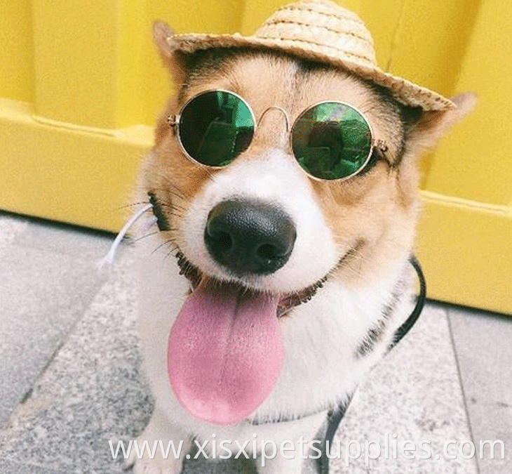 Circular Metal Prince Funny Cute Pet Sunglasses For Cat Small Dogs decorated accessories